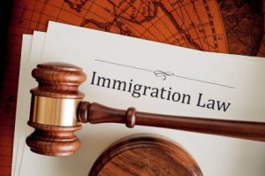 "Immigration Law" on a legal document with a gavel on top